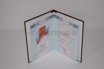 Красный Диплом Техникума 2009г в Чите