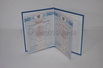 Диплом Колледжа 2013г в Чите