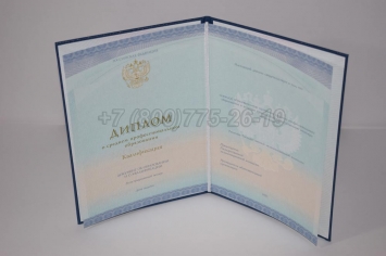 Диплом Колледжа 2015г СпецБланк в Чите