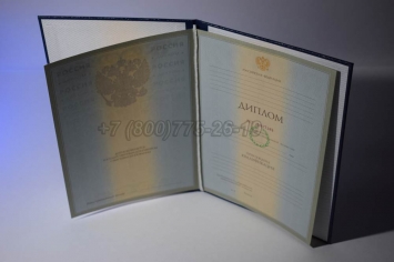 Диплом Университета 2006г в Чите